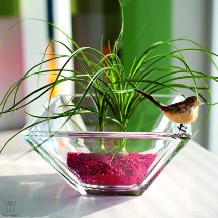 کاسه کریستالی بزرگ وی‌دی‌وی مدل Ducale ظرفیت ۵۵۰ سی‌سی 2